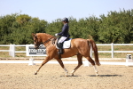 SBM_006577