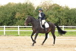 SBM_000196