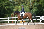 260829B-155155-01741