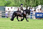 SBM_07983