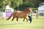 SBM_10525
