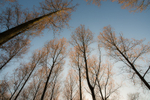 Wenlock Edge portfolio
