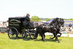 SBM_06711
