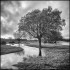 Janesmoor Pond