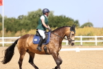 SBM_009490