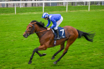 Race 3 William Hill Each Way Extra Handicap at York portfolio