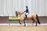 SBM_001915
