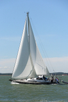 160826 BLUE ROGER Y92A6460