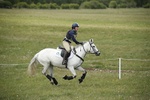 BVHT 140517  NXC -59