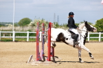 SBM_007687