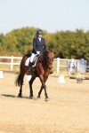 SBM_016631
