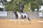 SBM_05586