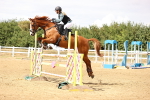 SBM_026991
