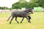 SBM_04279