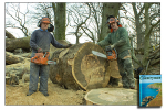 Village Woodman