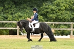 Cls 5 & 6 Dressage portfolio