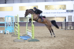 SBM_001846