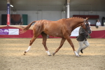 SBM_05633
