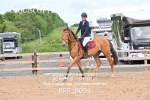BPP_8091
