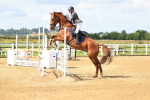 SBM_003352