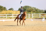 SBM_008493