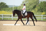 SBM_009648