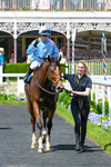 Race 1 13.30pm William Hill Keep Your Raceday Positive Handicap portfolio