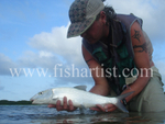 Bonefish Photo - Evening Bonefish.