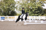 SBM_03607