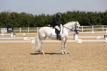 SBM_004254