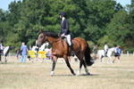 WJ7_0409