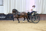 SBM_000180