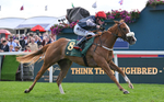 Race 6 16.45pm Irish Thoroughbred Marketing Handicap portfolio