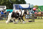 SBM_04303