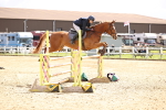 SBM_003932