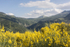 9235 Terranova di Pollino