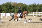 SBM_015984