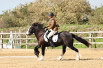 SBM_001701