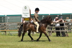 SBM_06805