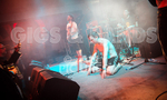 Pigsx7-3