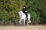 WJ6_6977