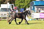 SBM_00699