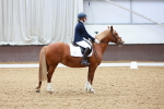 SBM_000691