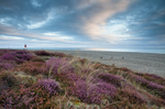 Coastal Colours
