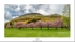 Alva Park blossom_Panorama