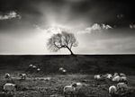 The Gathering