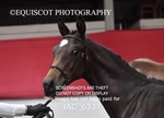 JAC_6337