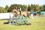 SBM_09931