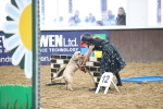 SBM_001227