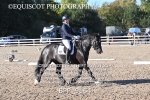 BPP_9164